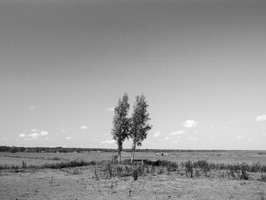 20230812-Yashica-FR2-28mm-Delta100-Fietsen-101