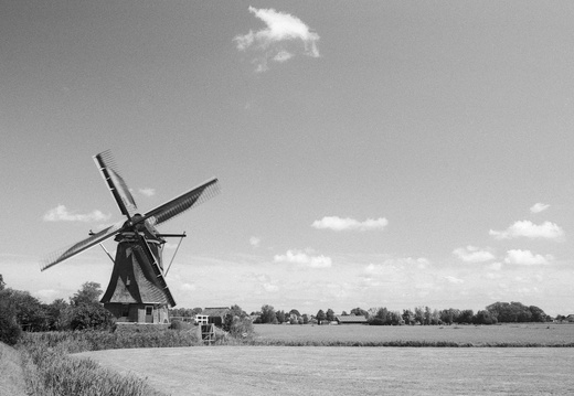 20230812-Yashica-FR2-28mm-Delta100-Fietsen-104