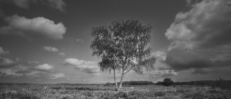 20230826-T90-17mm-Delta100-Fietsen-121
