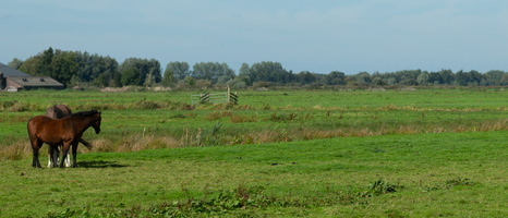 20230924-Fietsen-101