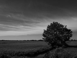 20230924-Fietsen-102