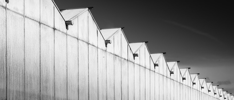 20230924-Fietsen-113