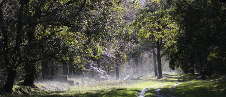 20231015-LageVuursche-131