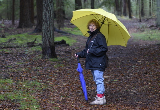 20231015-LageVuursche-153