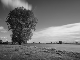 20231022-tijdopnamen-114