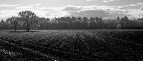 20231111-Herfst-109