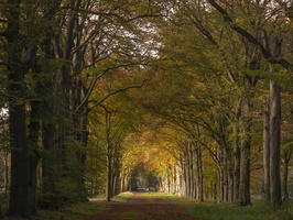 20231111-Herfst-121