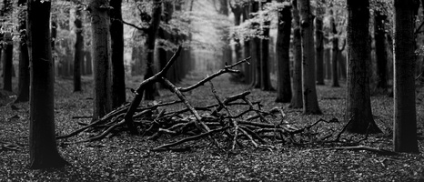 20231111-Herfst-146
