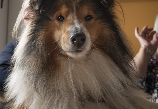 20231226-Kerstmis-128