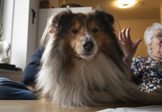 20231226-Kerstmis-129