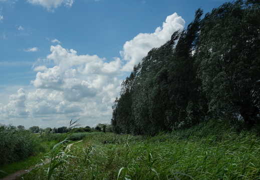 20240714-Fietsen-212