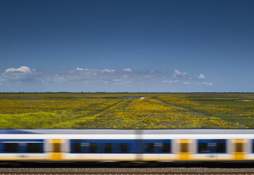 20240728-Oostvaardersplas-101