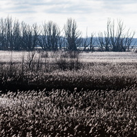 20230107-Markermeer-103