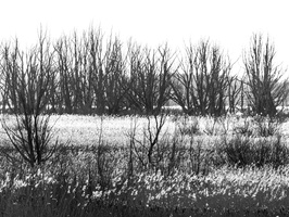 20230107-Markermeer-104