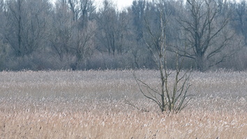 20230107-Markermeer-105