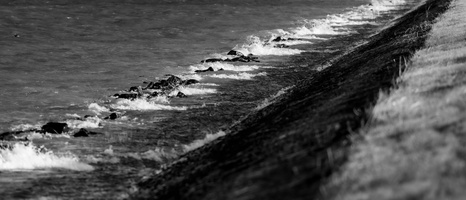 20230107-Markermeer-108