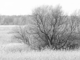 20230107-Markermeer-111