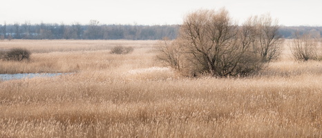 20230107-Markermeer-113