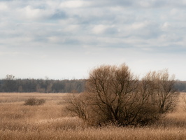 20230107-Markermeer-114