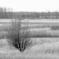 20230107-Markermeer-115