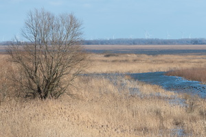 20230107-Markermeer-116