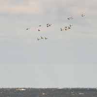 20230107-Markermeer-117