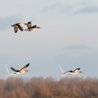 20230107-Markermeer-122