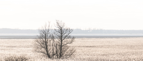 20230107-Markermeer-124