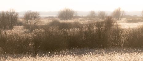 20230107-Markermeer-125