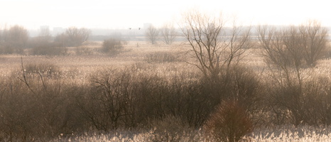 20230107-Markermeer-126