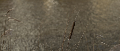 20240120-Amsterdam-162