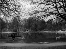 20240210-Amsterdam-101