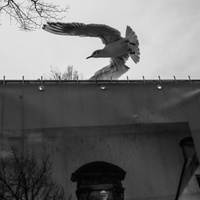 20240210-Amsterdam-133