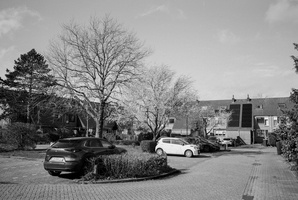 20240301-Fuji-GSW690-Delta100-Loenen-102