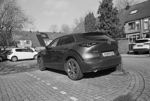 20240301-Fuji-GSW690-Delta100-Loenen-108