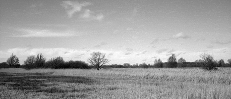 20240302-Fuji-GSW690-Delta400-Loenen-105