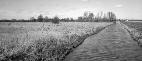 20240302-Fuji-GSW690-Delta400-Loenen-106