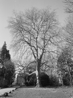 20240302-Fuji-GSW690-Delta400-Loenen-107