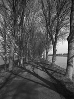 20240307-Bomen-102
