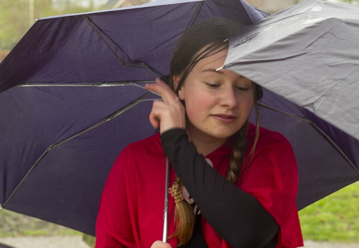 20240330-Vossenjacht-103