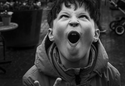 20240330-Vossenjacht-155