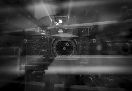 20240516-RadiantCamera-103