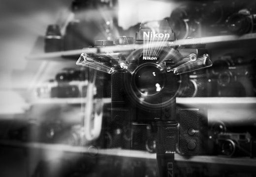 20240516-RadiantCamera-106