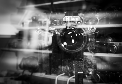 20240516-RadiantCamera-107