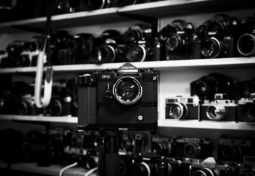 20240516-RadiantCamera-108