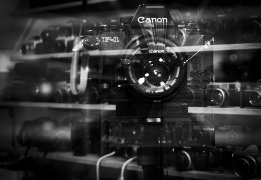 20240516-RadiantCamera-109