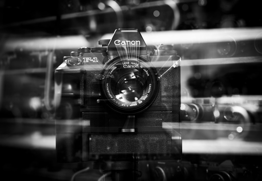 20240516-RadiantCamera-113