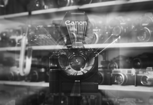 20240516-RadiantCamera-115