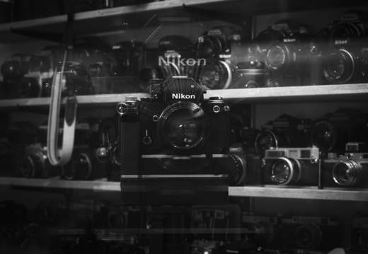 20240516-RadiantCamera-121