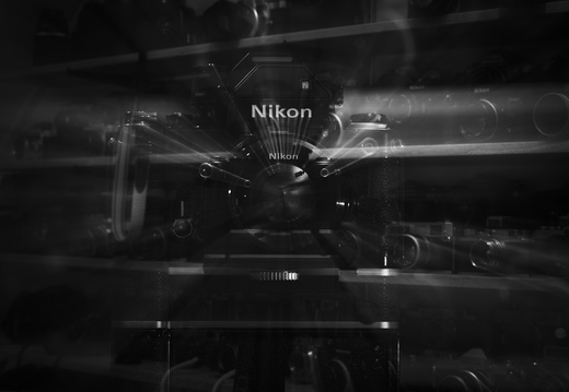 20240516-RadiantCamera-124